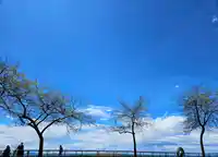 110 1153 VIDAL STREET - thumbnail 14