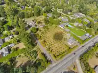 2909 176 STREET - thumbnail 15