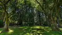 3756 NICO WYND DRIVE - thumbnail 33