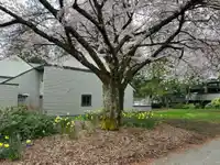 3699 NICO WYND DRIVE - thumbnail 4