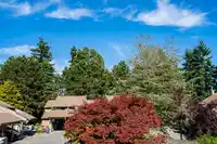 15760 MCBETH ROAD - thumbnail 19