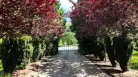 18640 32 AVENUE - thumbnail 2
