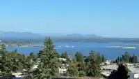 902 1473 JOHNSTON ROAD - thumbnail 28