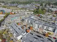 410 15745 CROYDON DRIVE - thumbnail 23