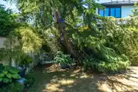 43 2345 CRANLEY DRIVE - thumbnail 39