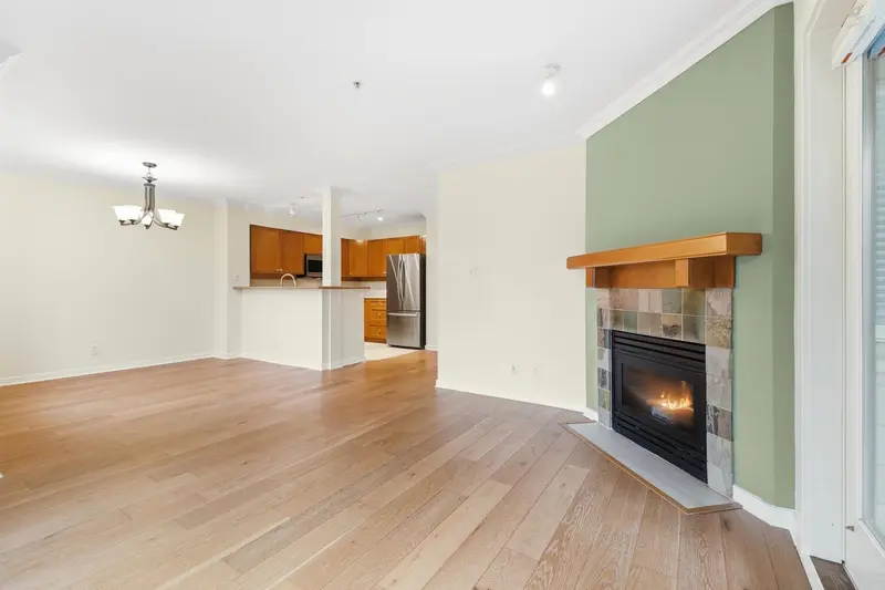 205 18 SMOKEY SMITH PLACE - photo 4 of 25