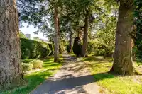 51 15450 ROSEMARY HEIGHTS CRESCENT - thumbnail 36