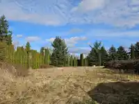 2368 180 STREET - thumbnail 16