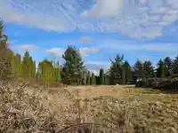 2368 180 STREET - thumbnail 6