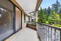 207 1760 SOUTHMERE CRESCENT - thumbnail 25