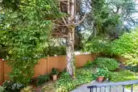 119 1442 BLACKWOOD STREET - thumbnail 25