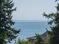 13195 14 AVENUE - thumbnail 3