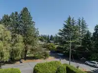 13195 14 AVENUE - thumbnail 4