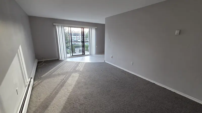 339 8091 RYAN ROAD - photo 3 of 14