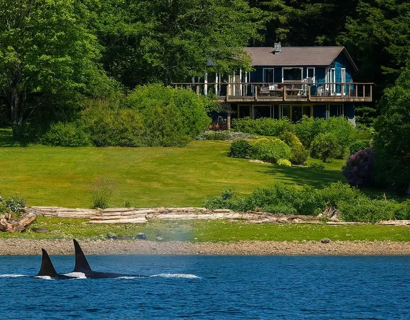 22 BRIGHTON BEACH - photo 1 of 25