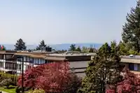 205 1480 FOSTER STREET - thumbnail 21