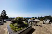 205 1480 FOSTER STREET - thumbnail 28