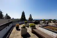 205 1480 FOSTER STREET - thumbnail 29
