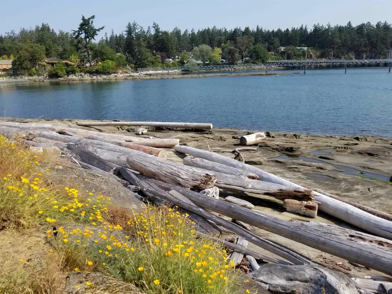 157 JACK ROAD - photo 4 of 25