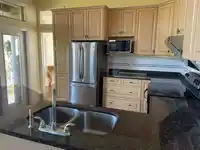 16233 MORGAN CREEK CRESCENT - thumbnail 8