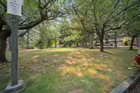 1917 LILAC DRIVE - thumbnail 34