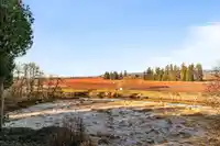 102 15175 36 AVENUE - thumbnail 34