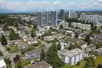 203 1410 BLACKWOOD STREET - thumbnail 31
