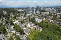 203 1410 BLACKWOOD STREET - thumbnail 33