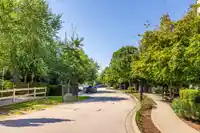 505 15436 31 AVENUE - thumbnail 38