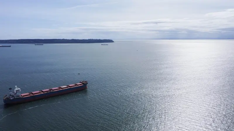 4649 CLOVELLY WALK - photo 1 of 25