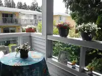 202 1473 BLACKWOOD STREET - thumbnail 11