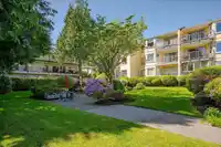 205 1459 BLACKWOOD STREET - thumbnail 34