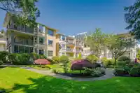 205 1459 BLACKWOOD STREET - thumbnail 35