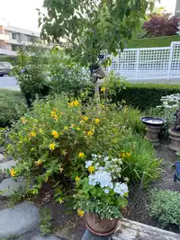 109 15298 20 AVENUE - thumbnail 34