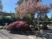 67 2500 152 STREET - thumbnail 1