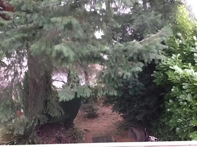 8479 SELKIRK STREET - photo 3 of 5