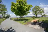 3128 O'HARA LANE - thumbnail 37