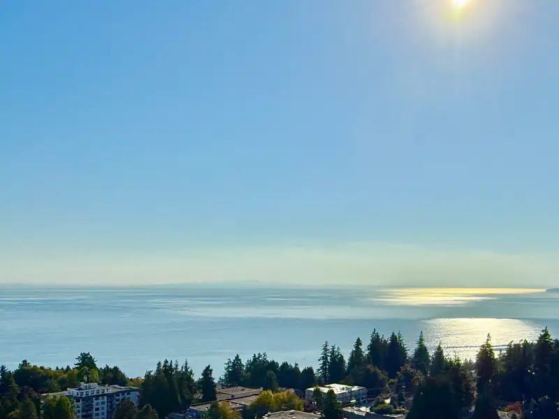 1804 1501 FOSTER STREET - photo 2 of 25