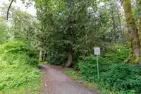 12747 14 AVENUE - thumbnail 32