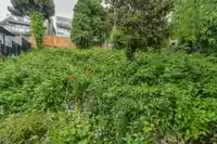 14763 MCDONALD AVENUE - thumbnail 6