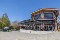 109 15357 17A AVENUE - thumbnail 31