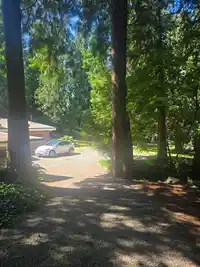 13418 VINE MAPLE DRIVE - thumbnail 11