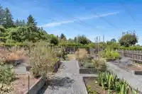 215 2855 156 STREET - thumbnail 38