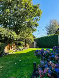 14765 31 AVENUE - thumbnail 36