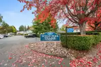 8 12916 17 AVENUE - thumbnail 2