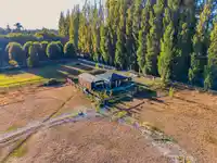 18738 20 AVENUE - thumbnail 10