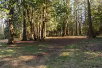 17438 28 AVENUE - thumbnail 36