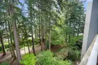 508 1442 FOSTER STREET - thumbnail 10