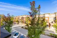 203 2950 KING GEORGE BOULEVARD - thumbnail 23
