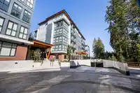 301 3528 146A STREET - thumbnail 29